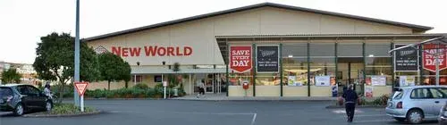 New World Grocery Grab