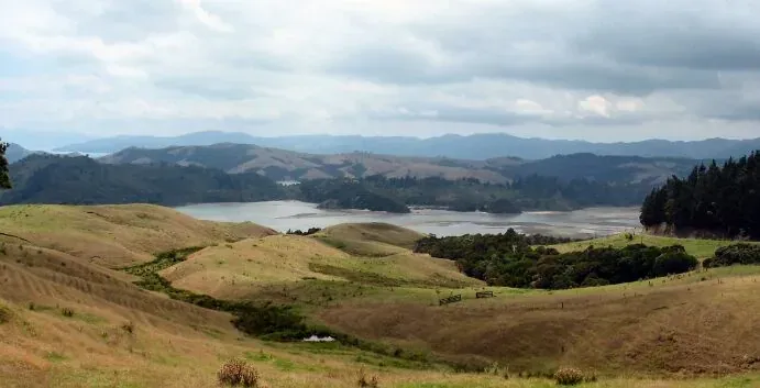 Manaia