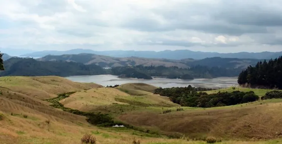 Manaia