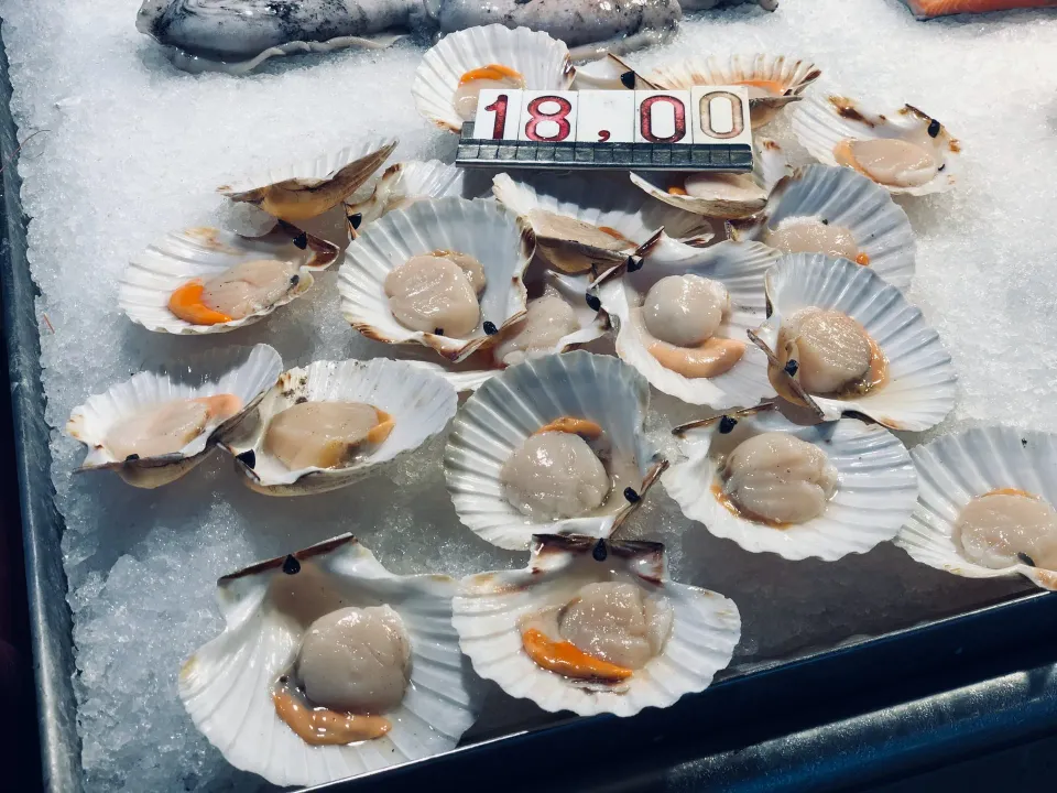 Coromandel Seafood Festival