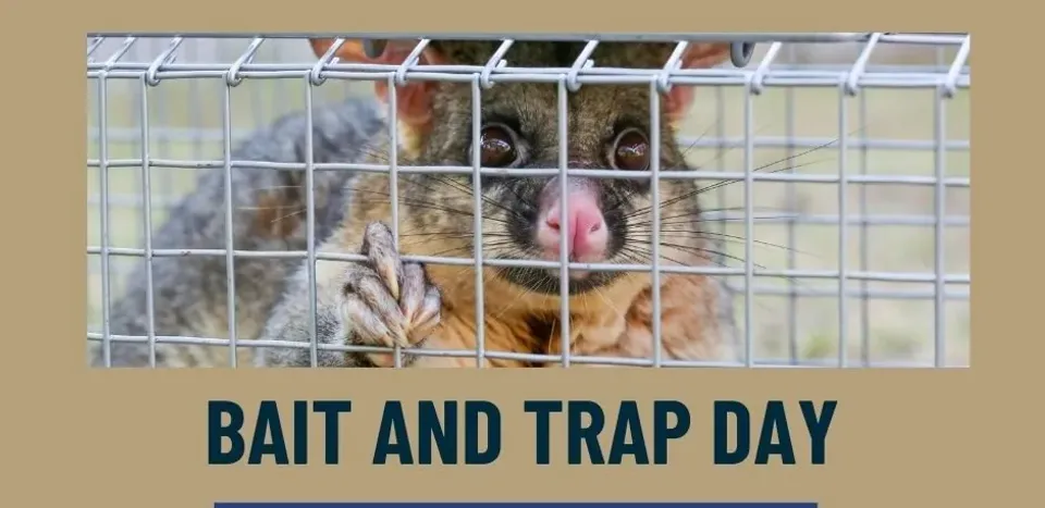 Bait And Trap Day