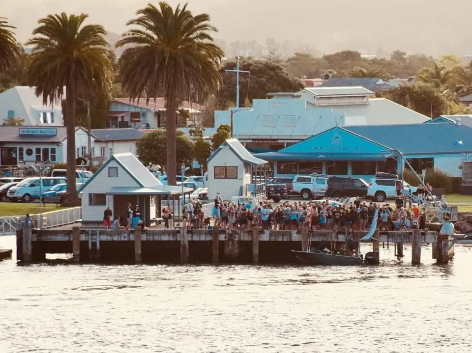 Yamaha Trailer Boat Tournament