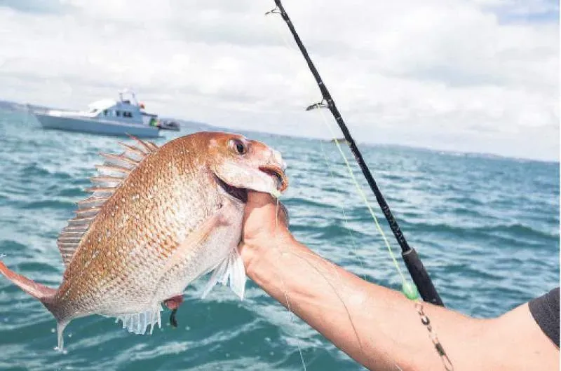 fishing comp