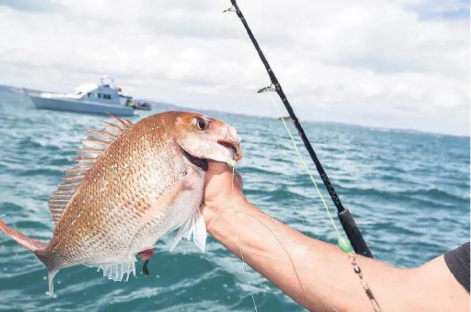 fishing comp
