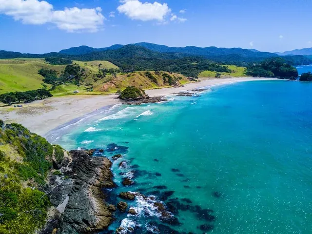 Pauanui Market Day