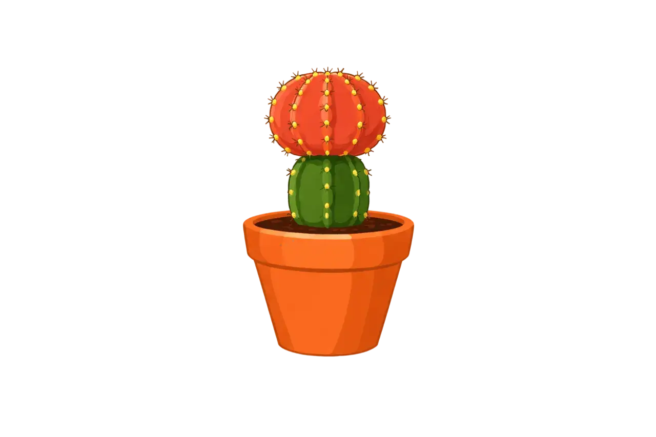 Moon Cactus