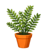 ZZ Plant