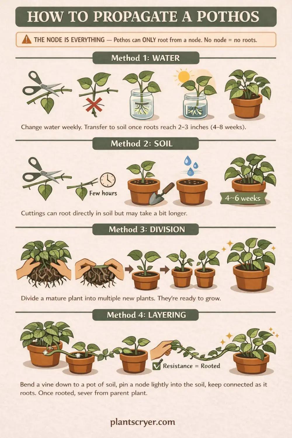 How to Propagate a Pothos