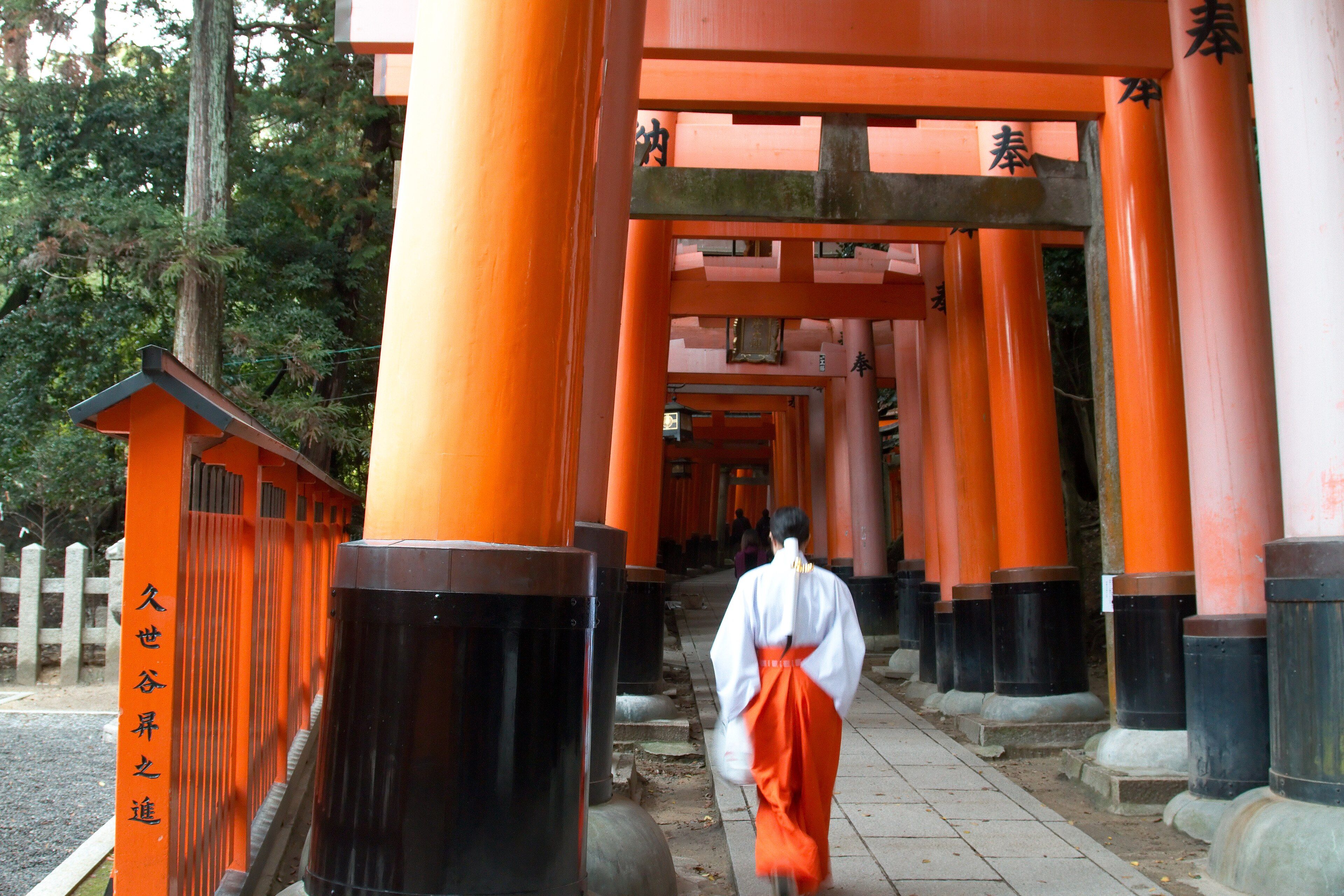 Sendero de torii en Fushimi Inari