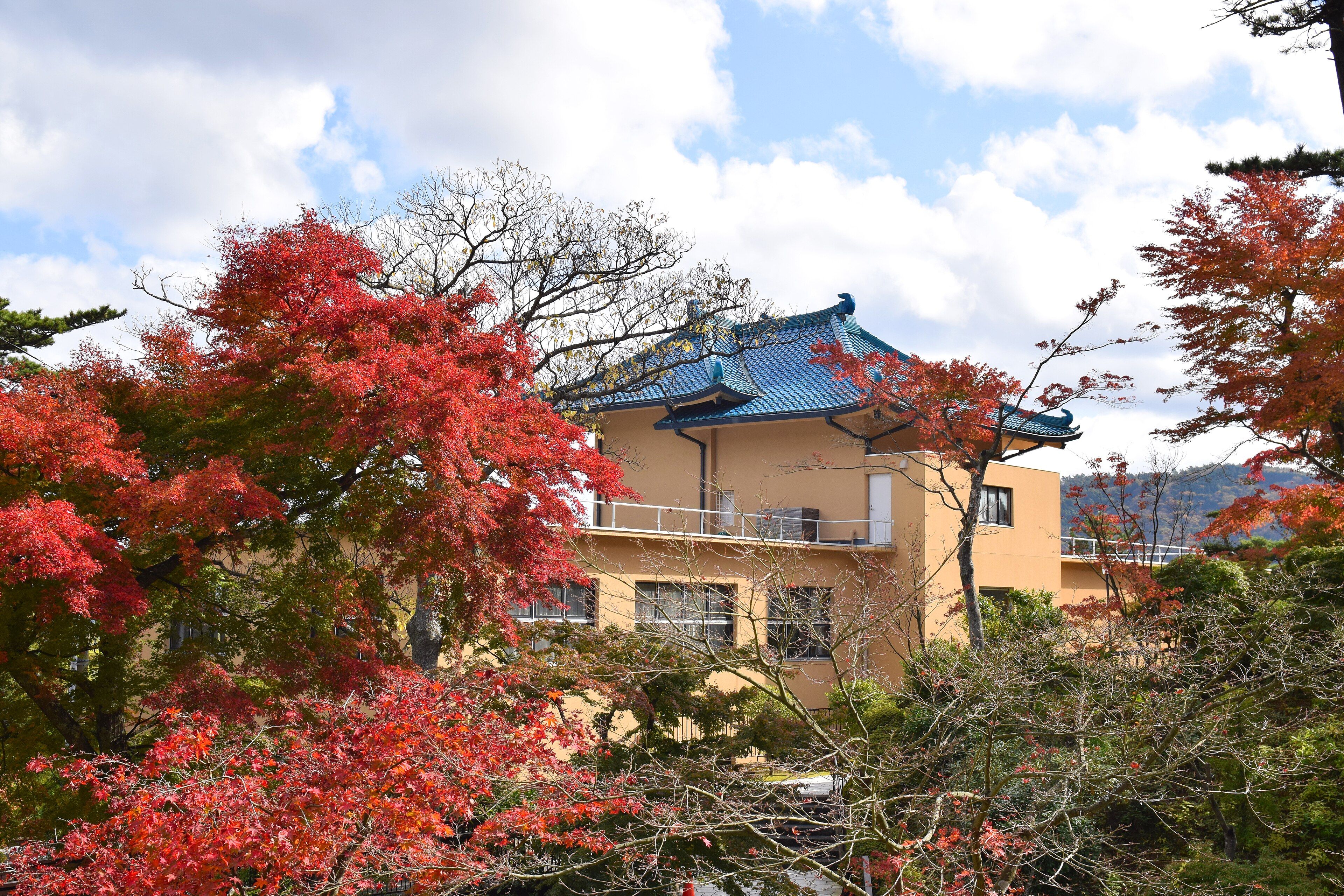 Ryokan tradicional en Hakone