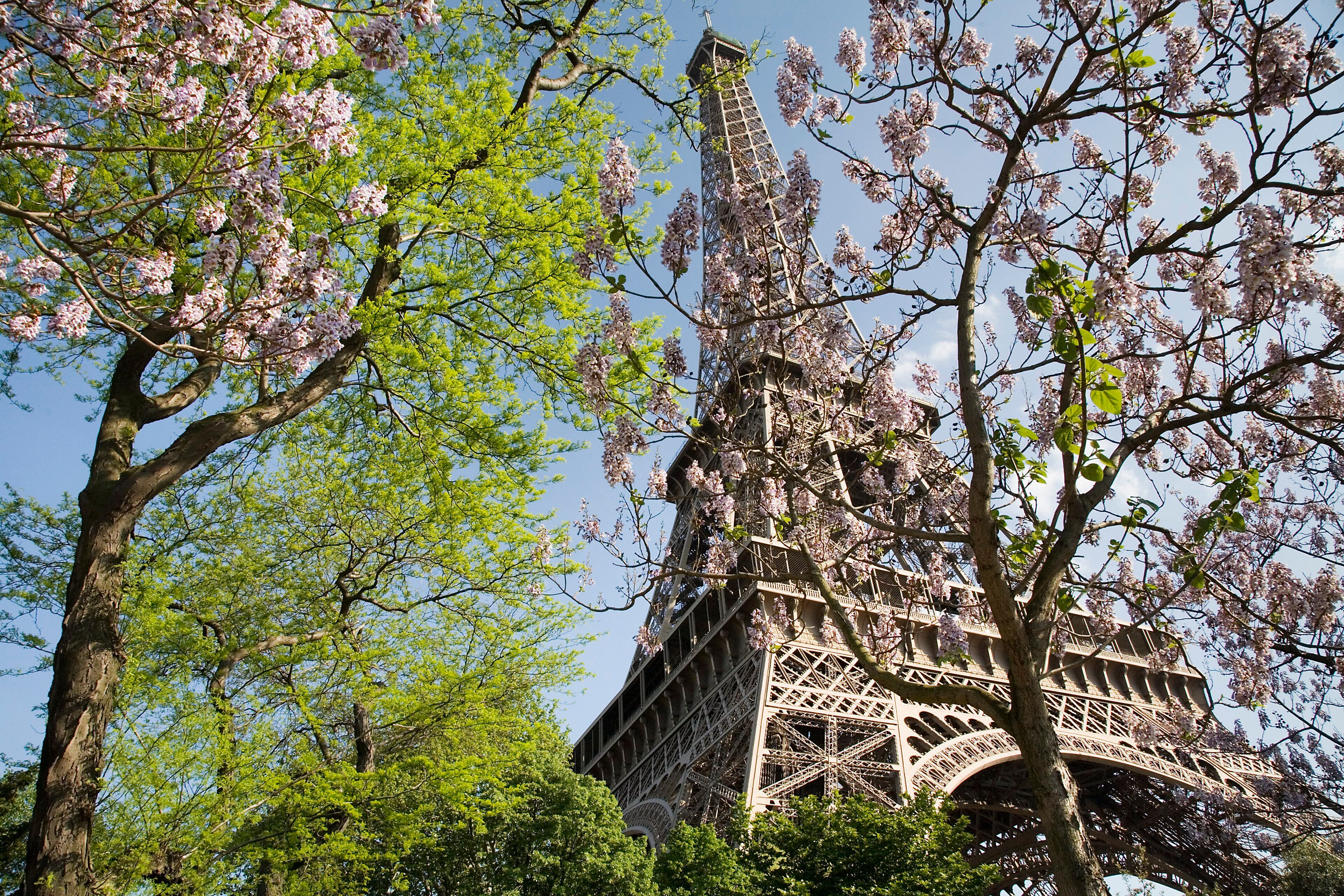 Torre Eiffel desde el Campo de Marte