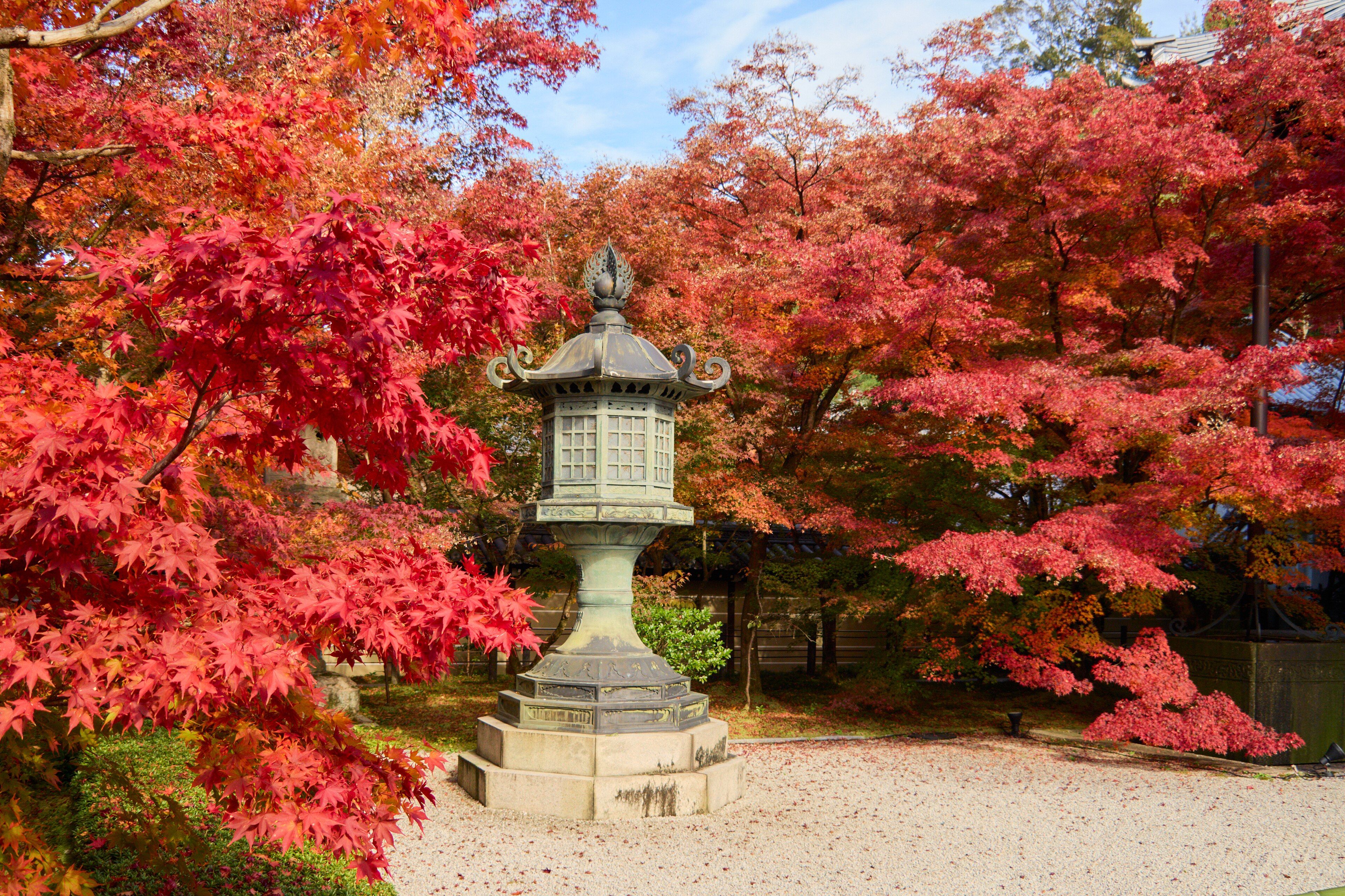 Jardín japonés en otoño