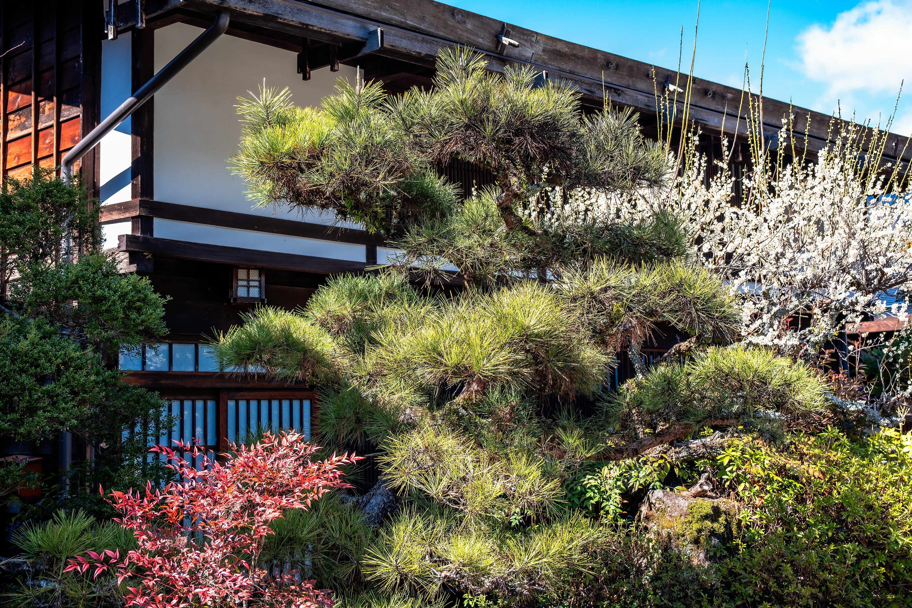 Casas tradicionales de Tsumago