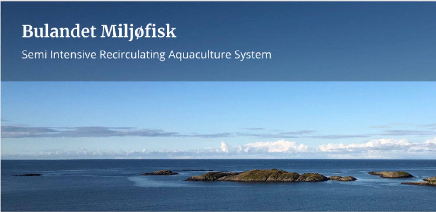 Bulandet Miljøfisk Hovedbilde