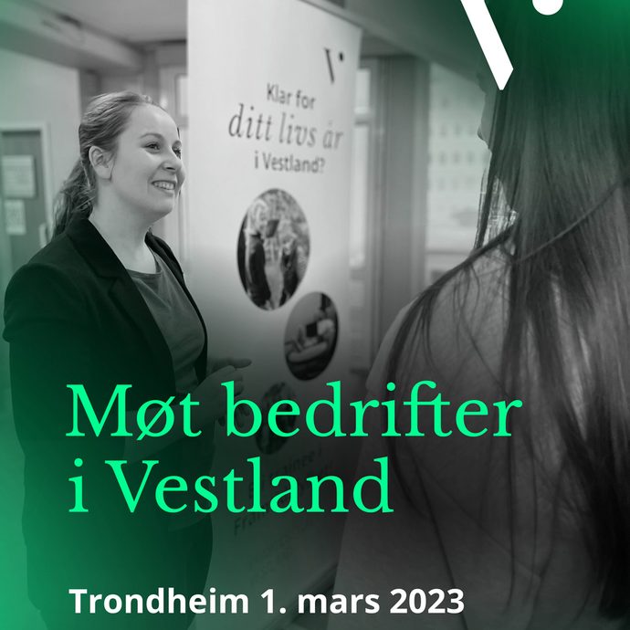 Karrieremesse mingling