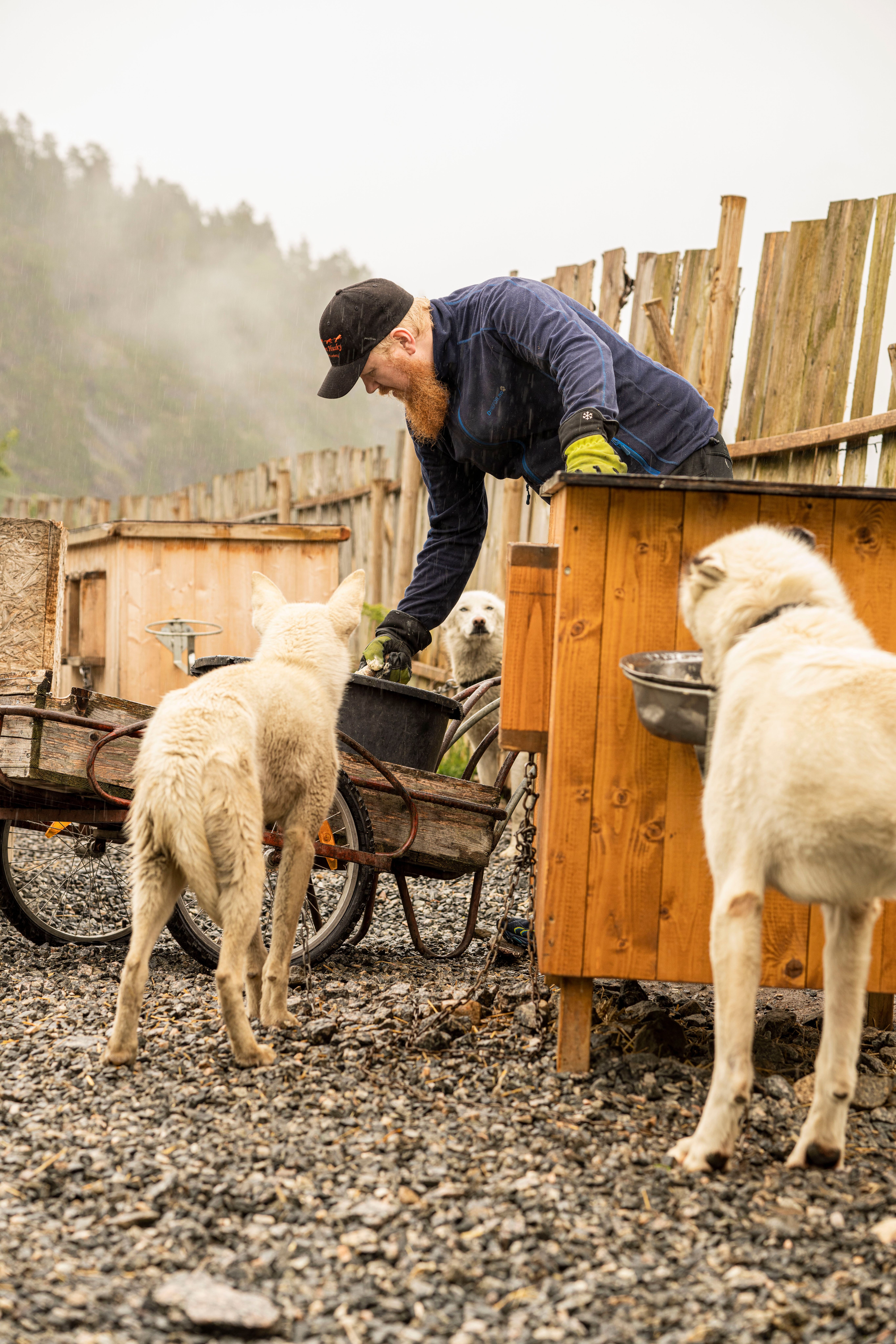 Kyrre Johan Andersson Nordnæs-Enerhaug på Fururabben Husky.