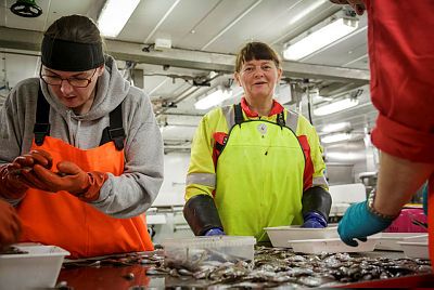 Fiskeridirektoratet Region Vest Kulturbilde