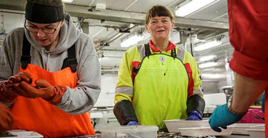 Fiskeridirektoratet Region Vest Kulturbilde