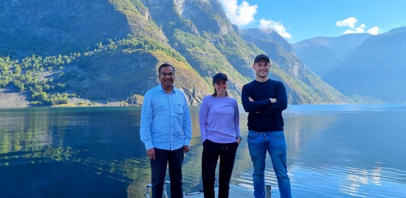 stordata Vestlandsforsking