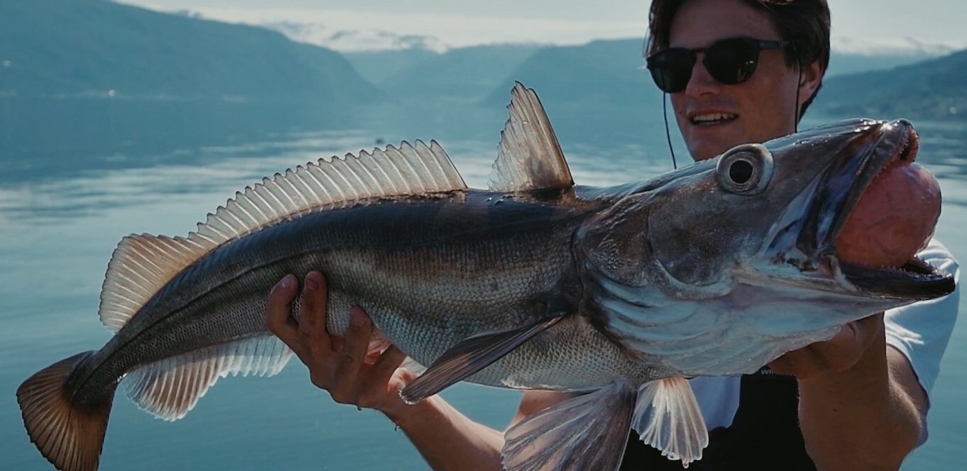 Djupvatnfiske i Sognefjorden med Drip Fiske