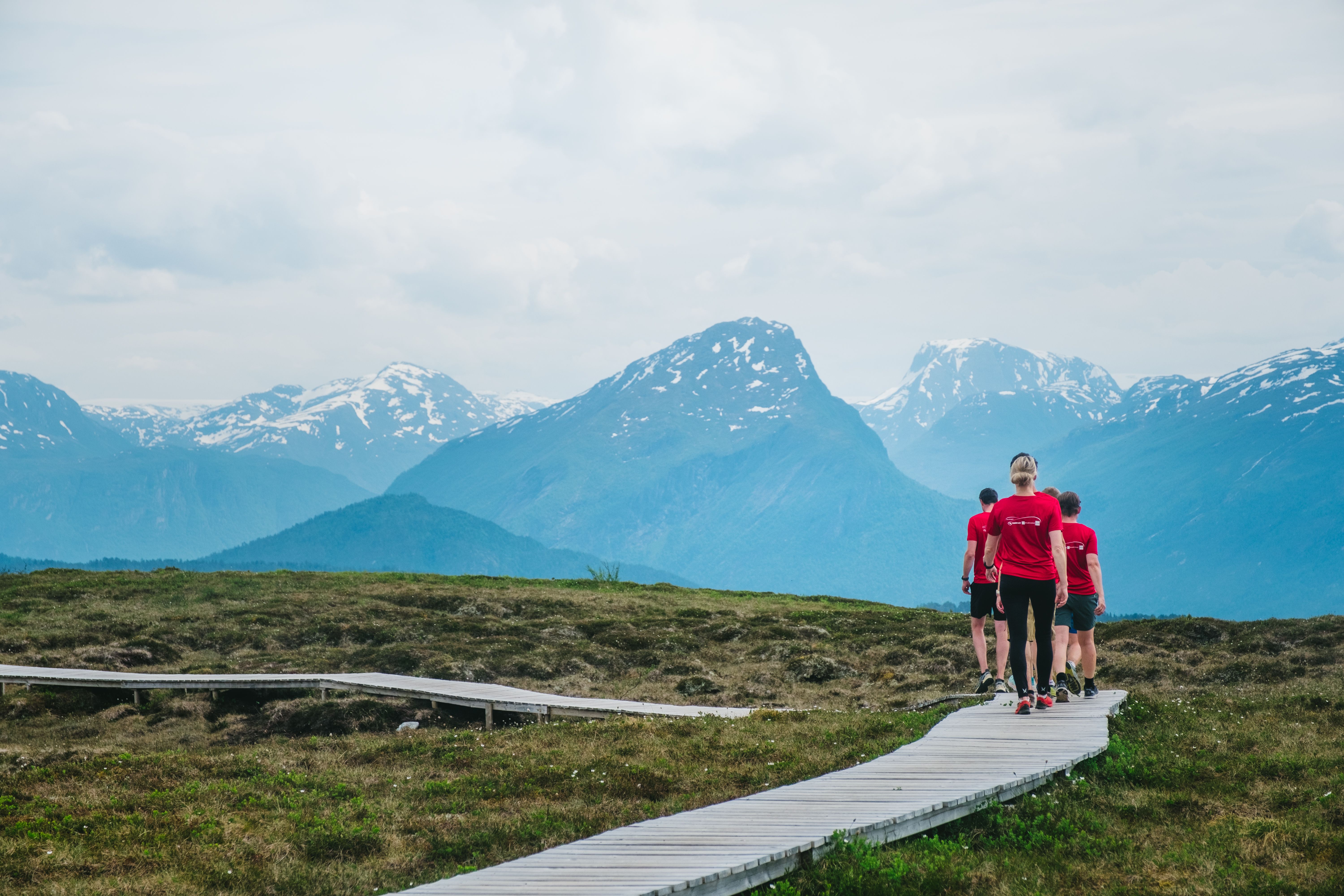 Bano-Gruppen Hovedbilde