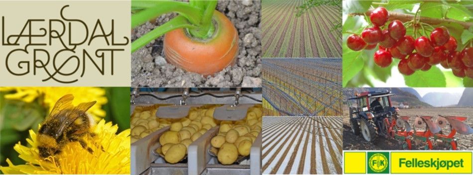 Lærdal Grønt SA Hovedbilde