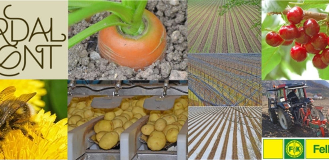 Lærdal Grønt SA Hovedbilde