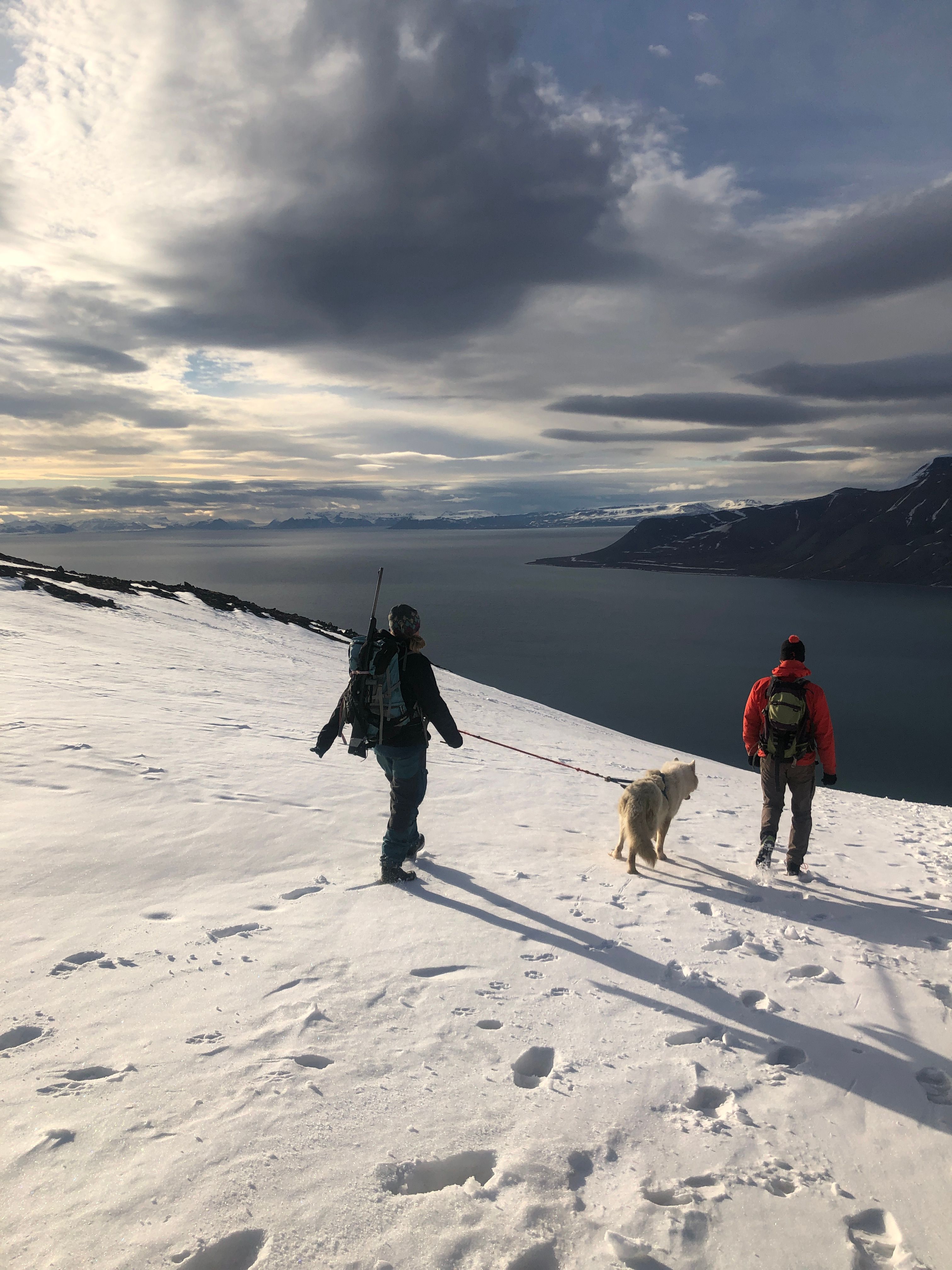 Klima Svalbard Vestlandsforsking