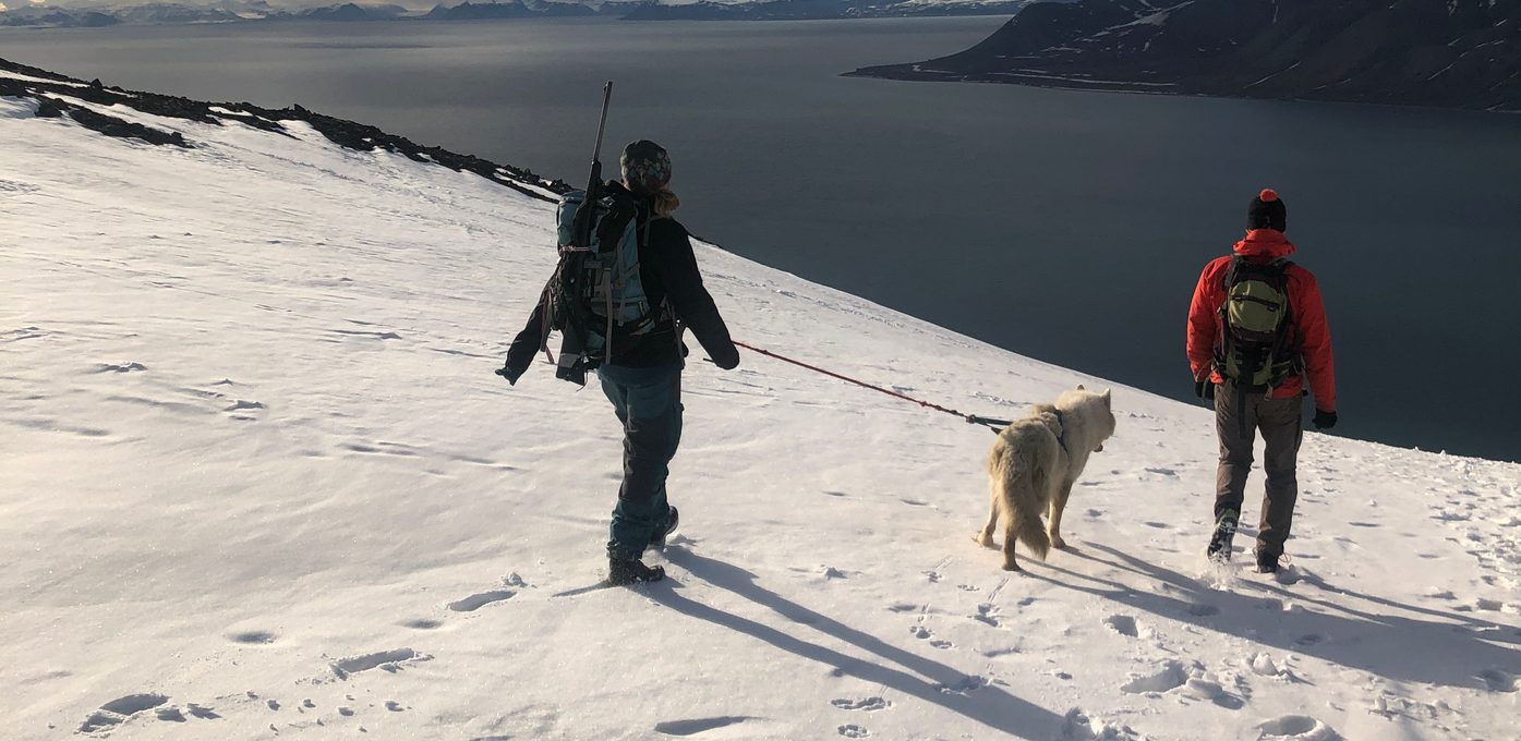 Klima Svalbard Vestlandsforsking