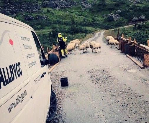 Allbygg Florø Invest as Hovedbilde