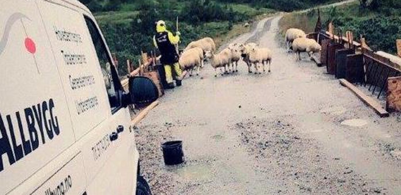 Allbygg Florø Invest as Hovedbilde