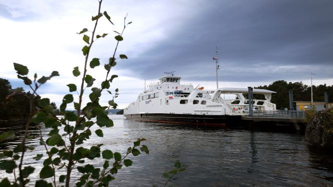 Forretningsutviklar - Nyoppretta stilling innan anbodsarbeid! Bilde