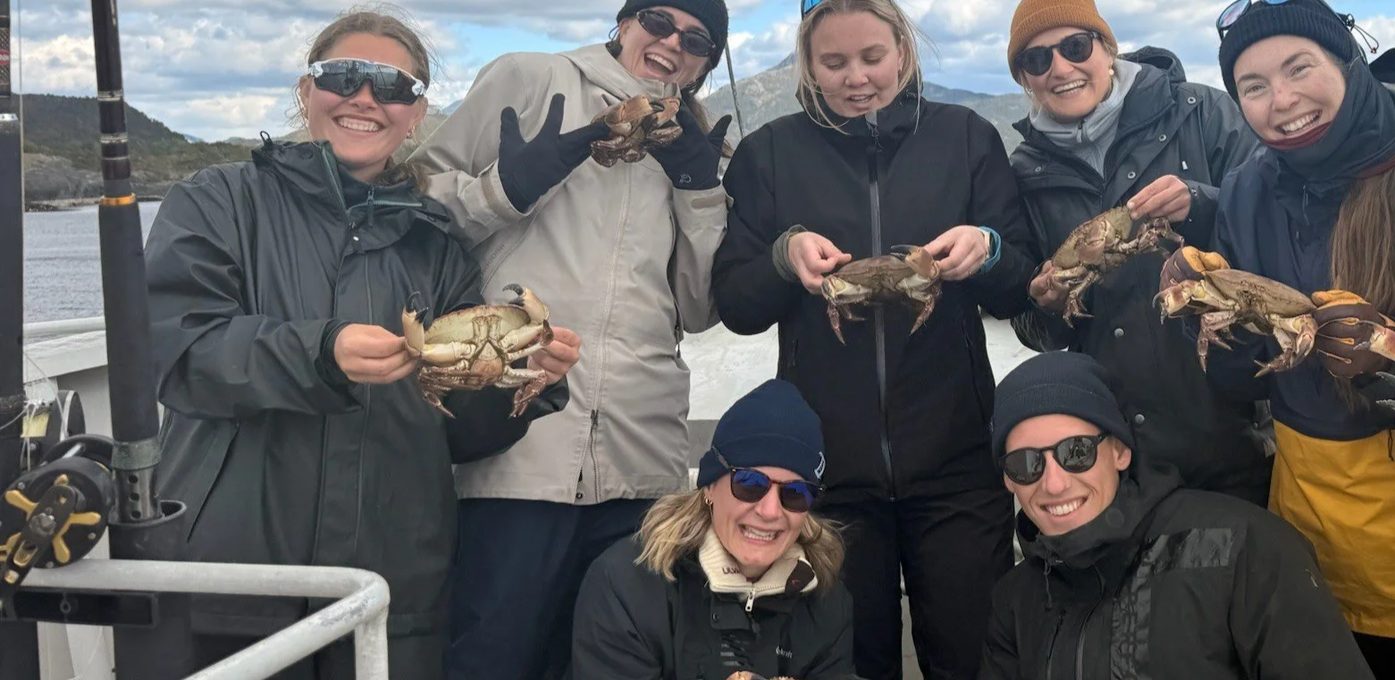 Sogn Næring ledig stilling