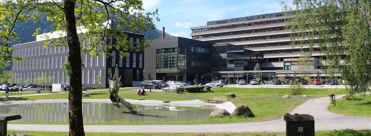 Helse Førde