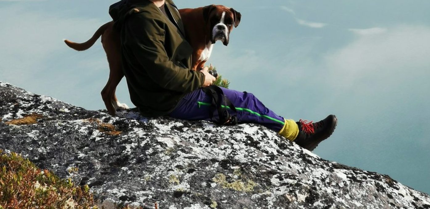 Mann og hund på fjelltur