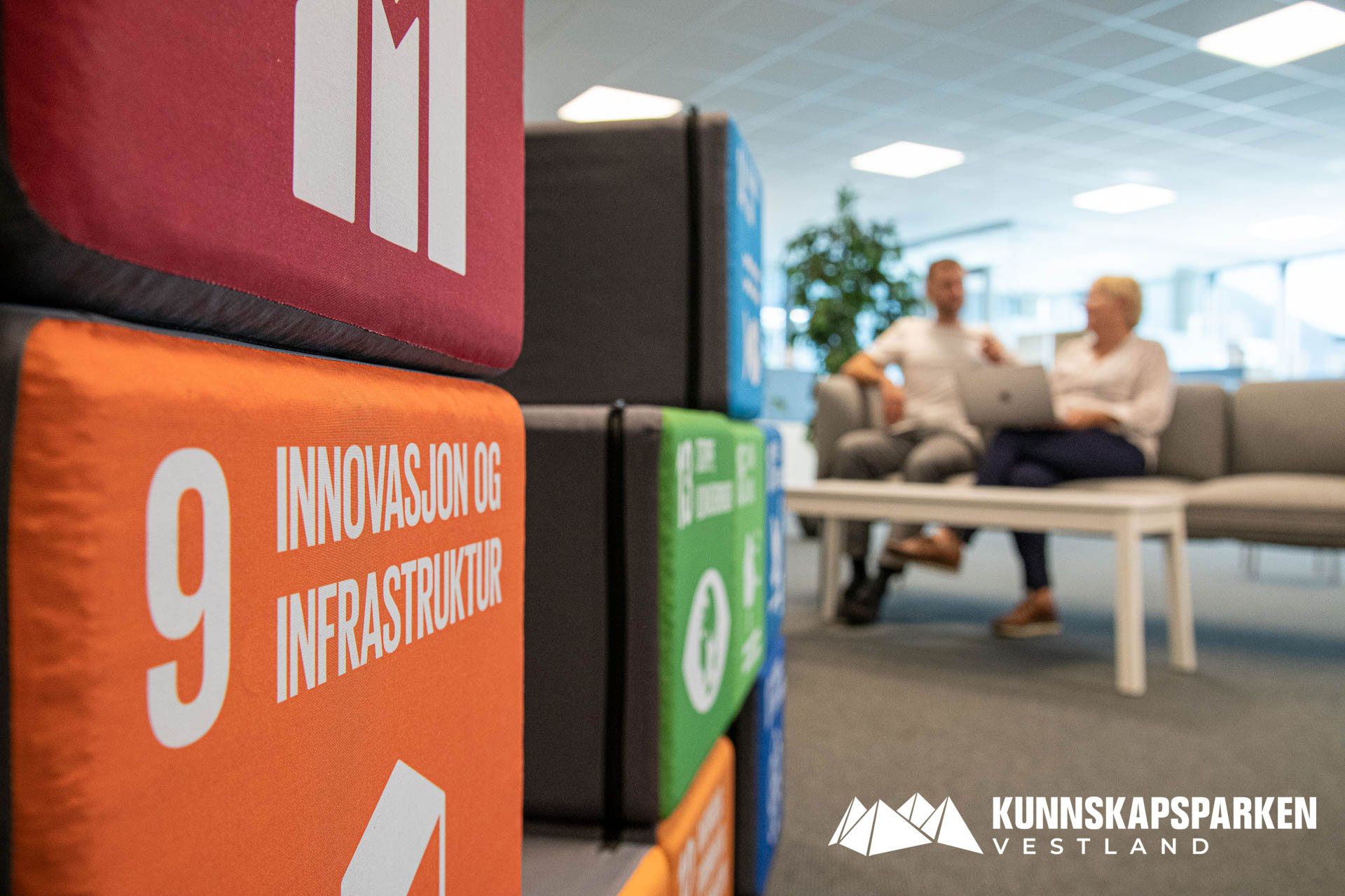 Trainee: Prosjektleiar for grøn omstilling og sirkulær økonomi Bilde