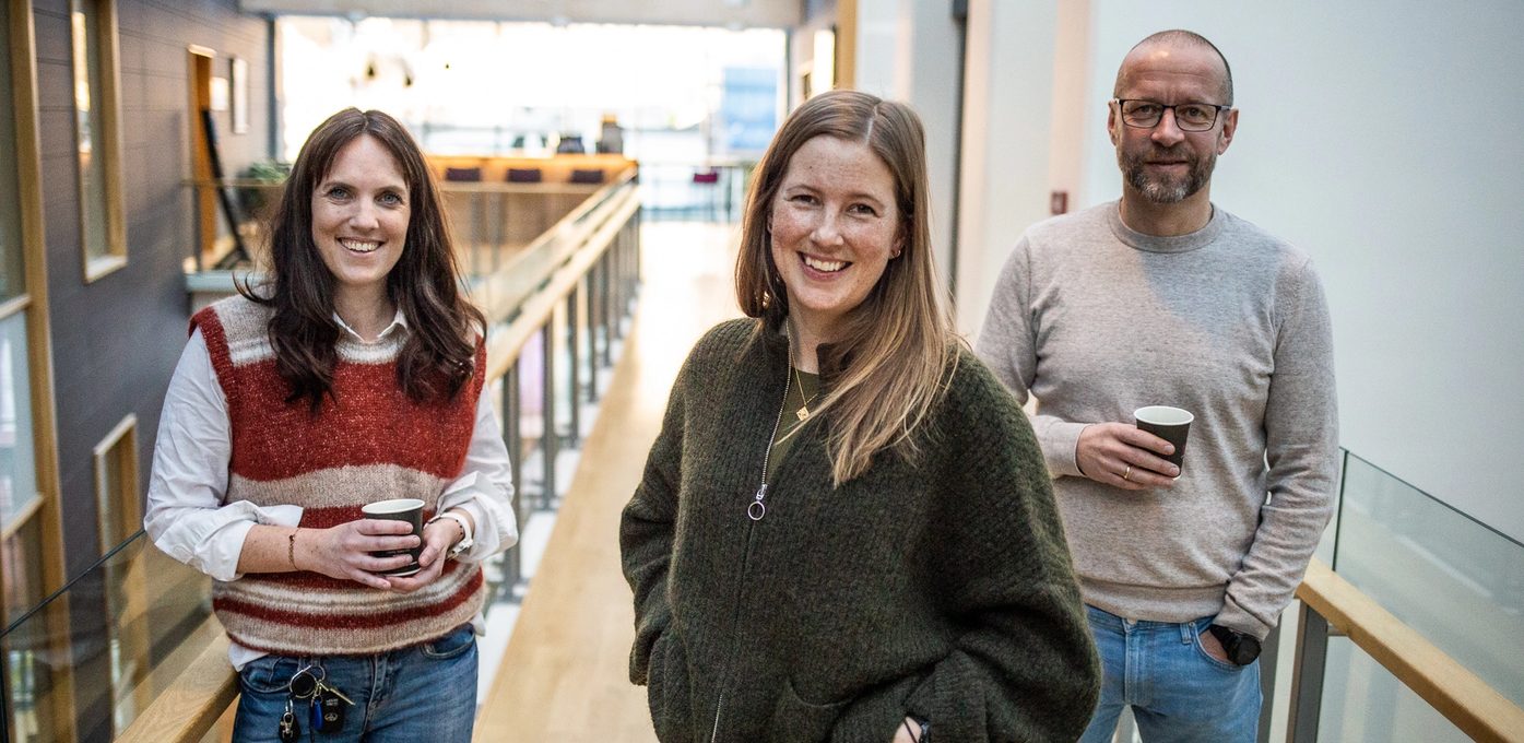 Lotteri- og stiftelsestilsynet søker trainee: Kommunikasjon Bilde