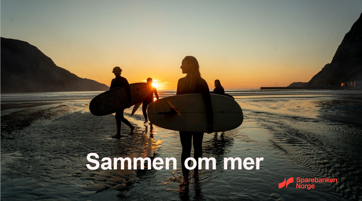 Teknologileder, Betaling og Oppgjør Bilde