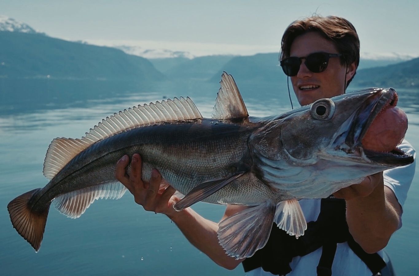 Djupvatnfiske i Sognefjorden med Drip Fiske