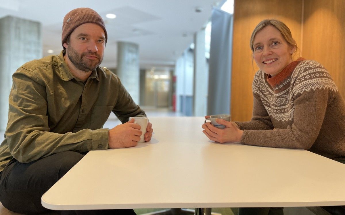 Vestlandsforsking karriere