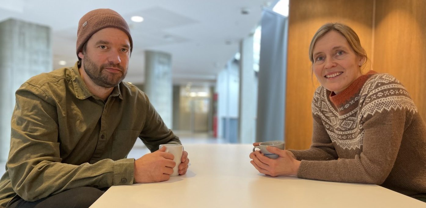 Vestlandsforsking karriere