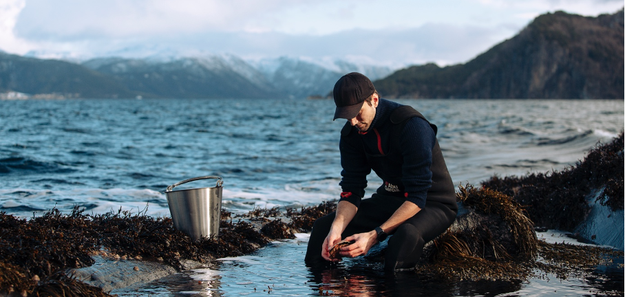 Trainee hos Osland Havbruk Bilde