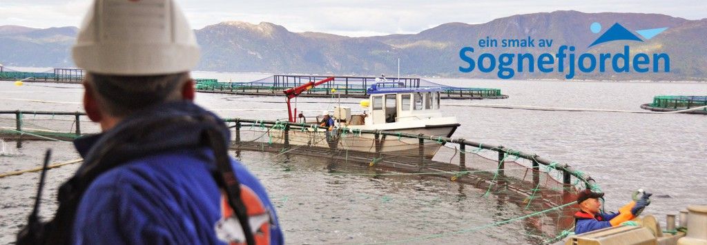 Osland Havbruk  Hovedbilde