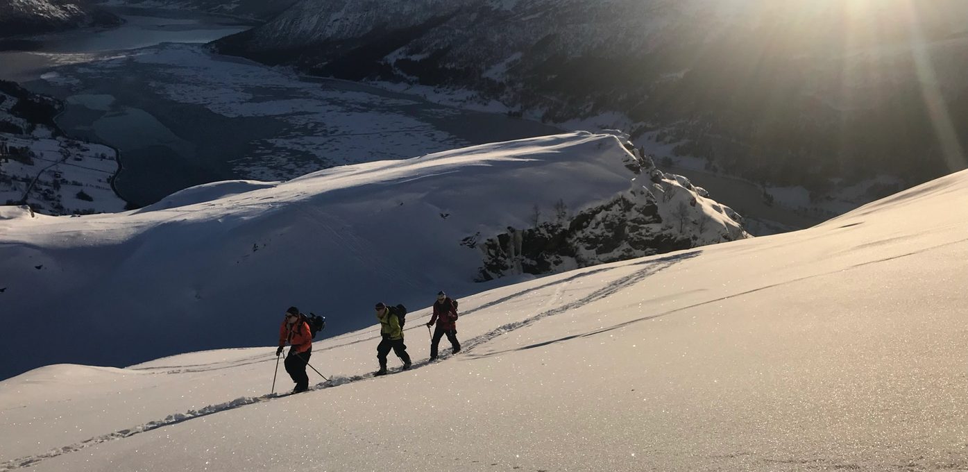 Fast jobb mellom fjord og fjell? Bilde