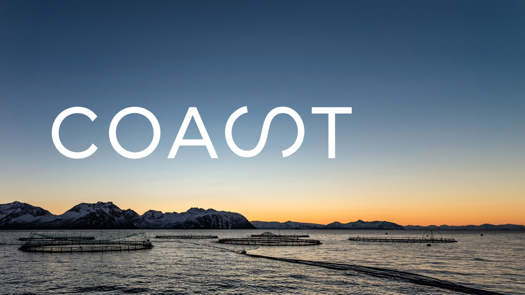 Trainee: Marked & digital kommunikasjon Bilde