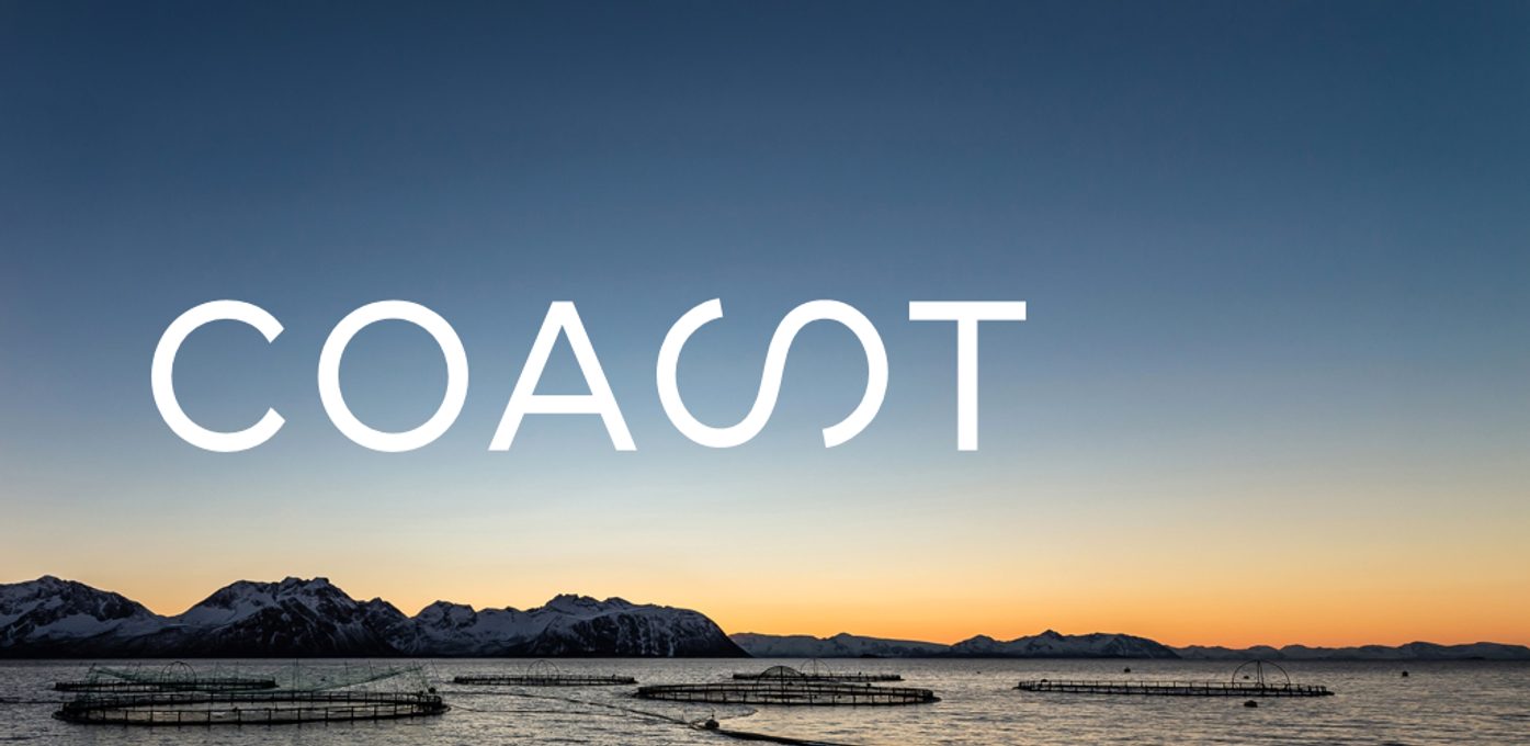 Trainee: Marked & digital kommunikasjon Bilde