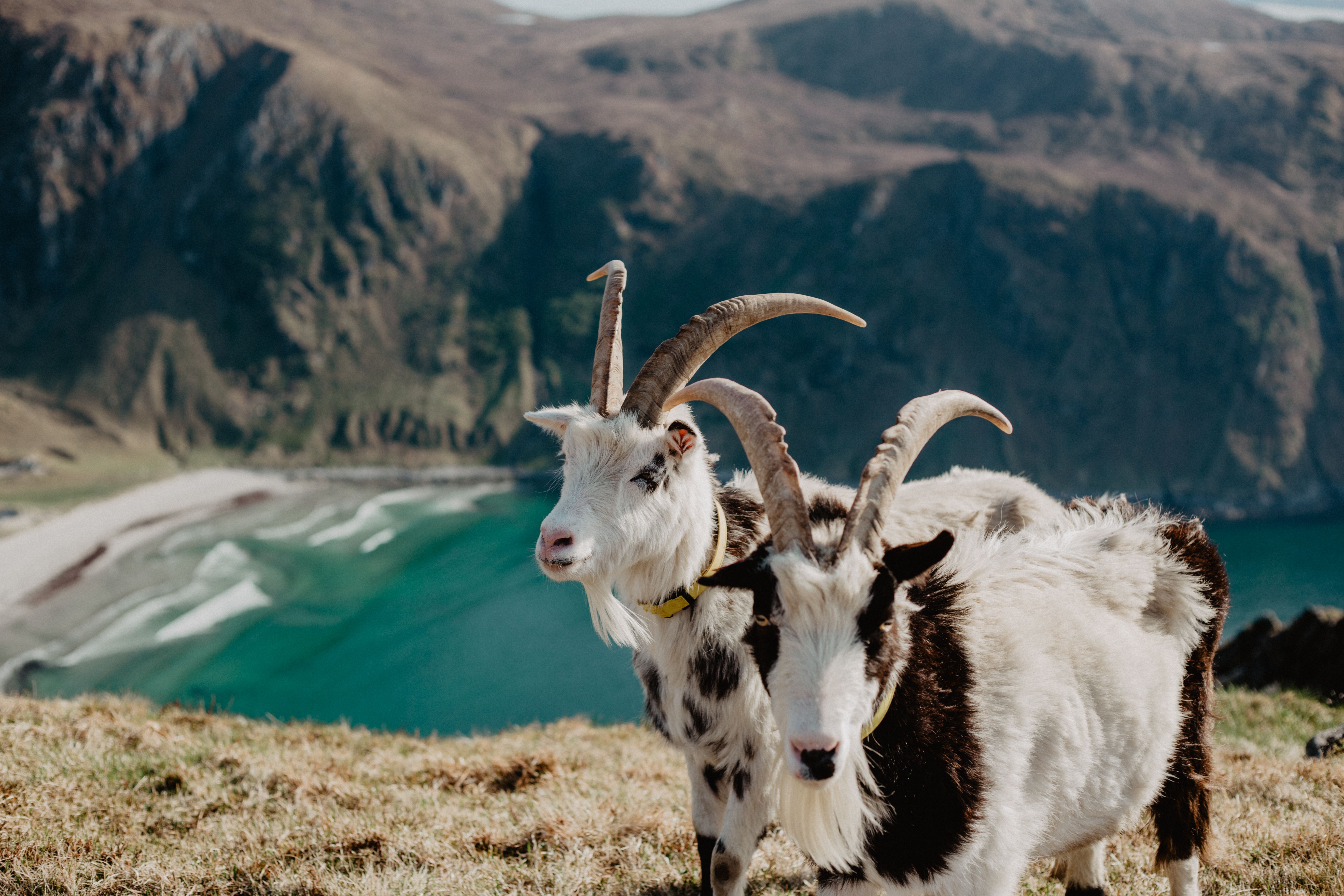 Ferievikarar - vedlikehald bygg og grøntområde Bilde