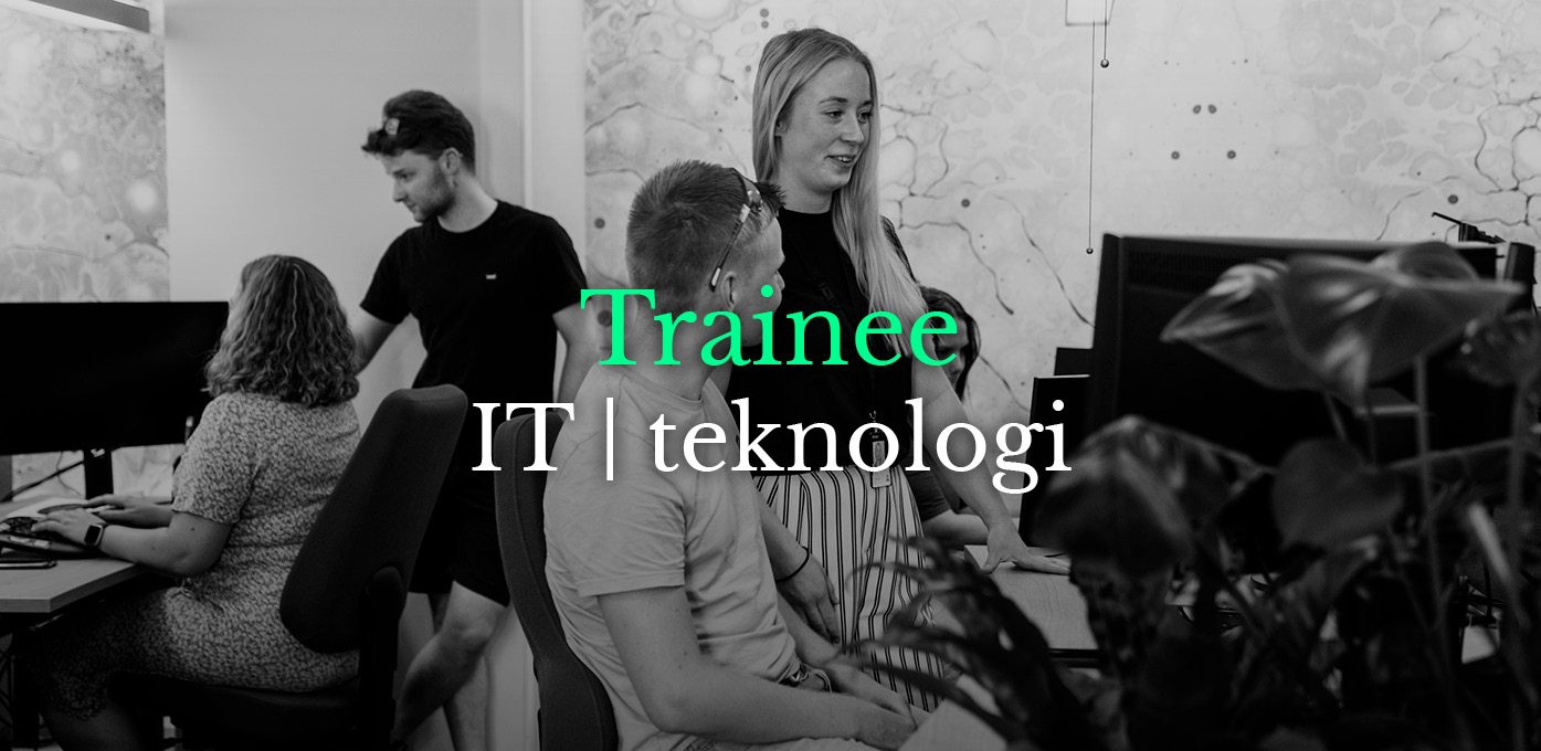 Trainee IT teknologi