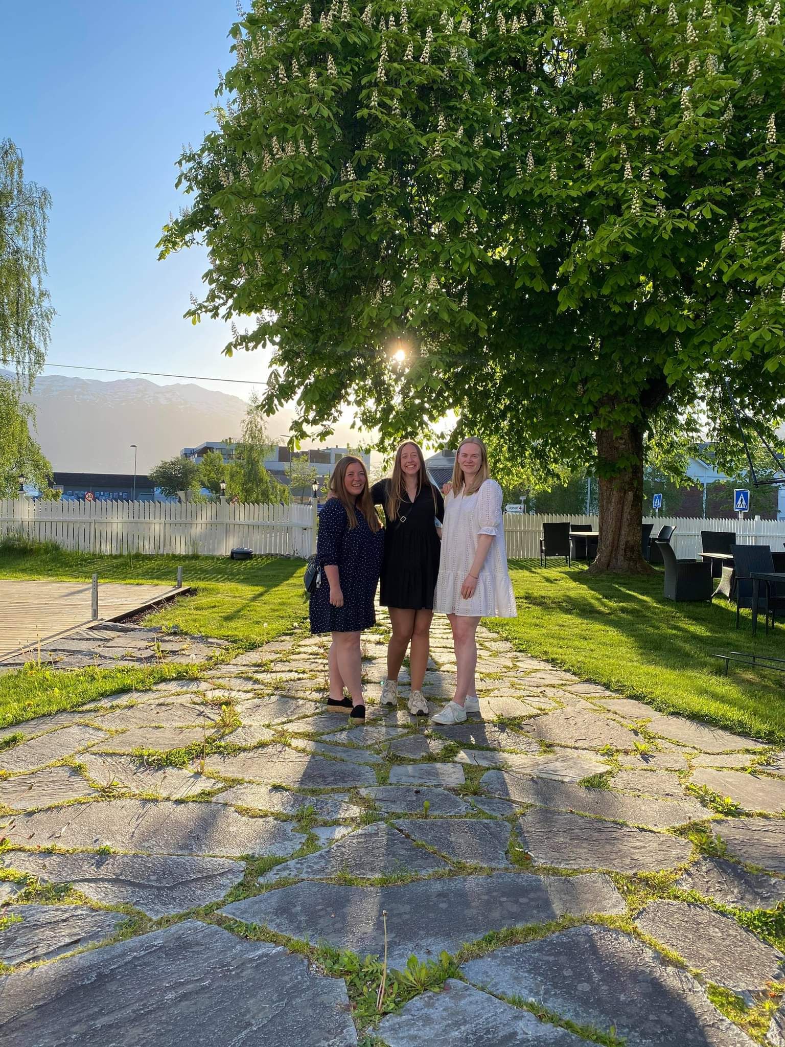 Benedicte w rolland traineesamling