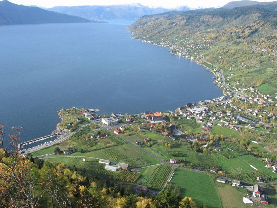 Njøs frukt- og bærsenter Hovedbilde